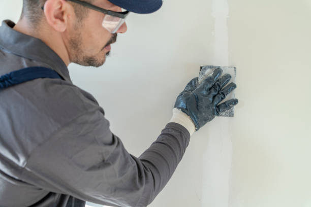 Best Water-Damaged Drywall Repair  in Zachary, LA