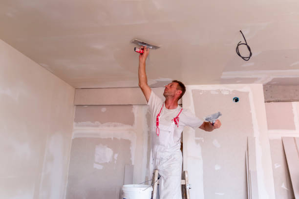 Best Cabinet Painting and Refinishing  in Zachary, LA